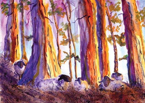 Redwood Rest